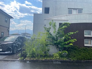 IMG_9225